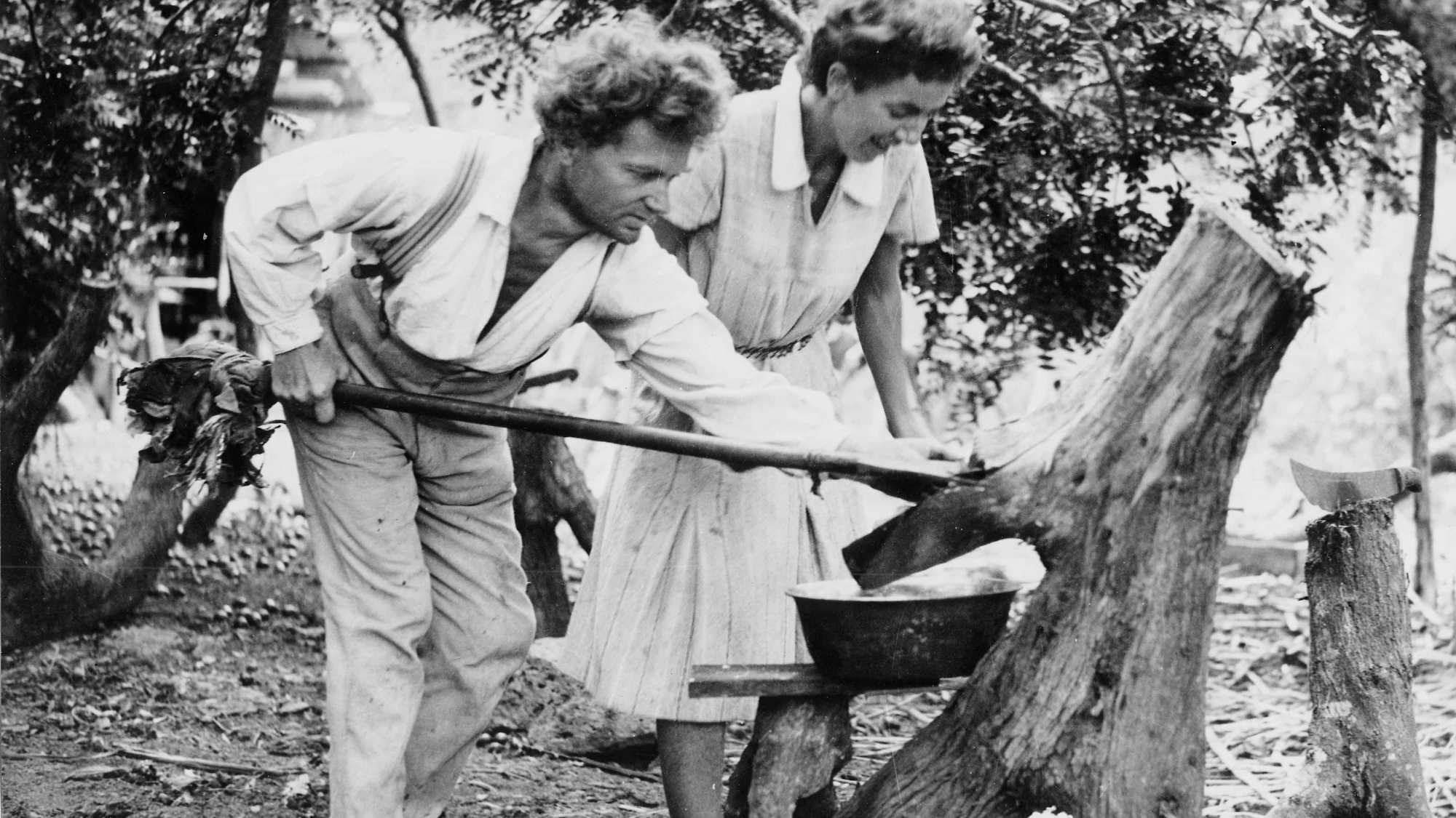The Galapagos Affair Satan Came to Eden • New Zealand International